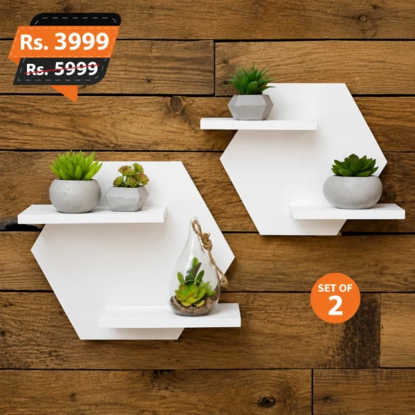 Hexa-Pair-wall-mounted-for-home-decoration-elegant-design-for-living-room-1-450x450