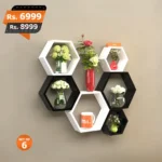Mona-Hexagon-Set-of-6-best-and-premium-quality-for-home-decoration-high-glossy-sheet-1-450x450