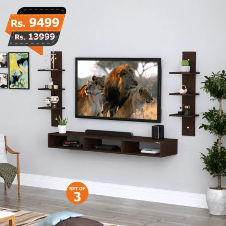 Camilia Tv Console