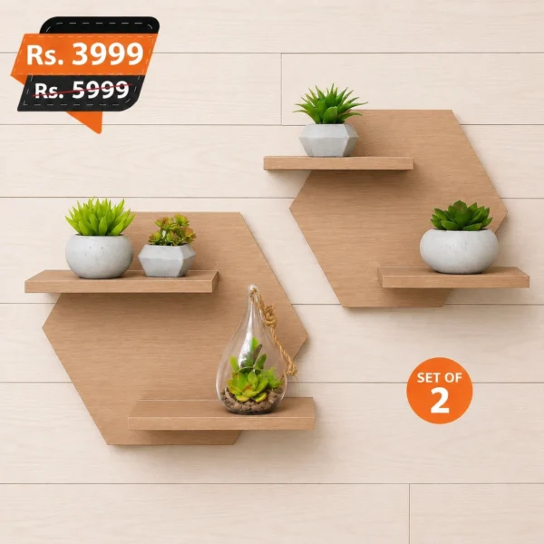 Hexa-Pair-wall-mounted-for-home-decoration-elegant-design-for-living-room-2-450x450
