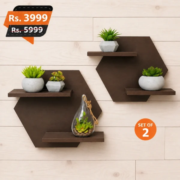Hexa-Pair-wall-mounted-for-home-decoration-elegant-design-for-living-room-3-450x450